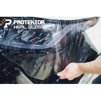 PROTEKTOR PAINT PROTECTION...