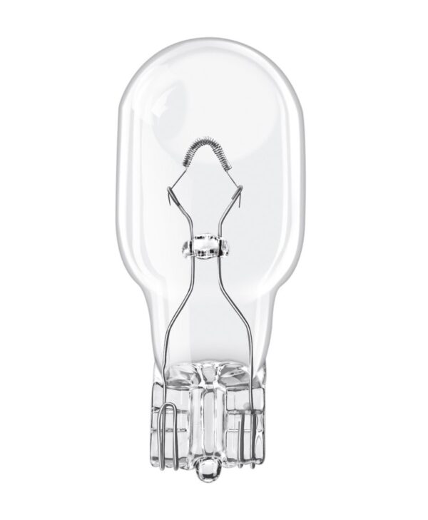 Bulbs